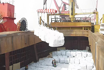 租船運輸 租船運輸